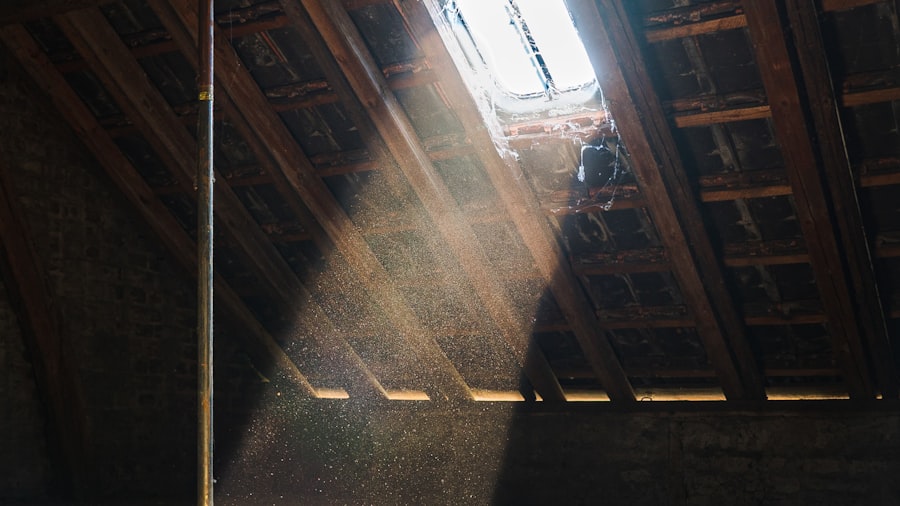 Damp Proofing & Ventilation in a Sussex loft