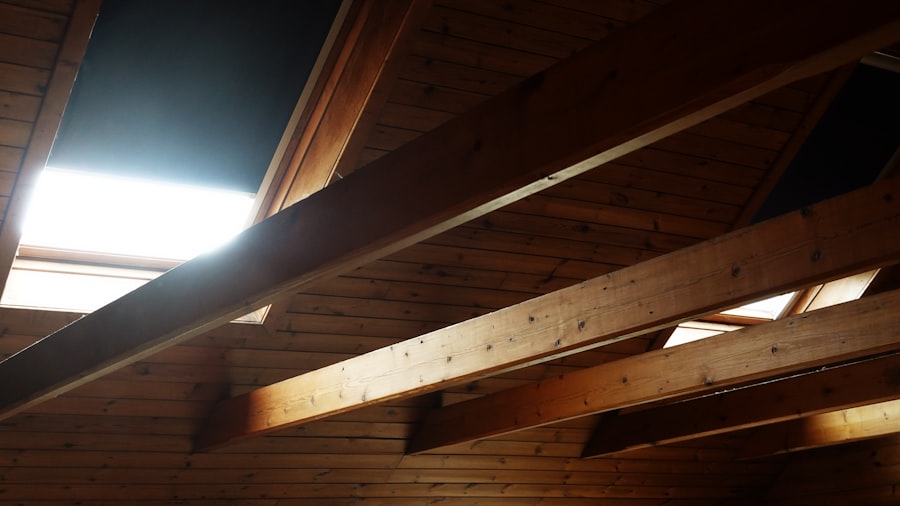 Pest Control & Proofing in a Sussex loft